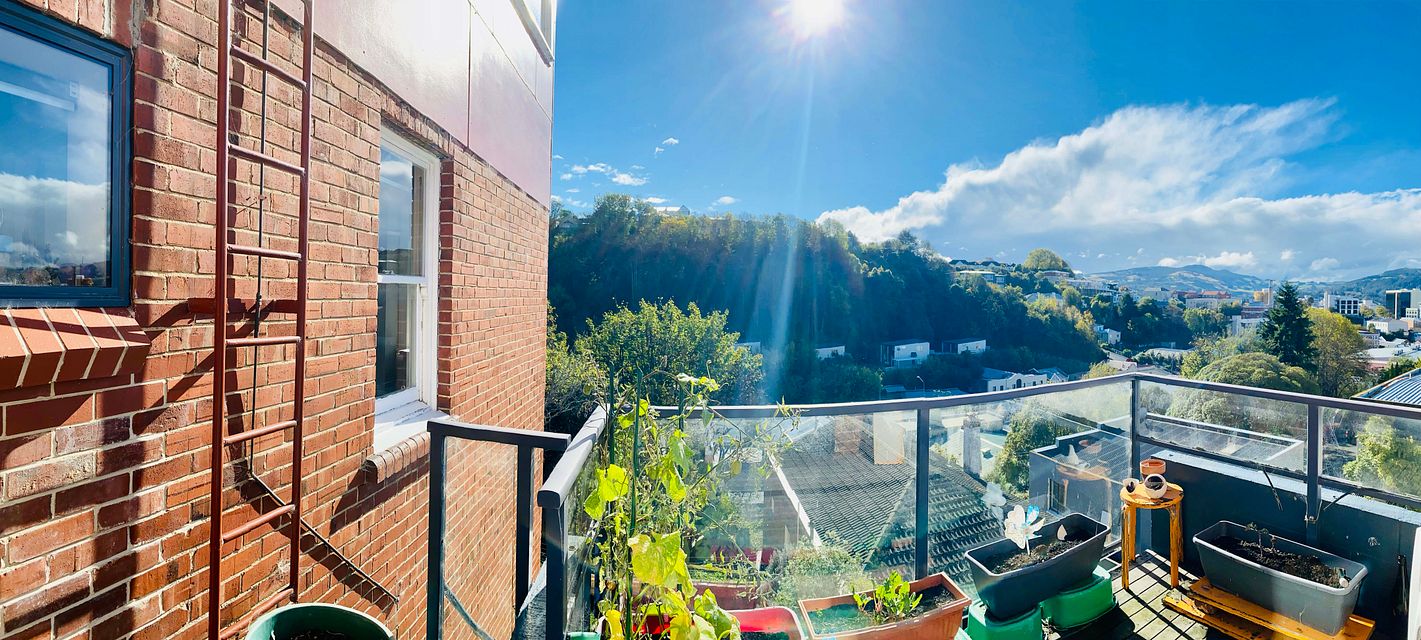 Apartment for rent Dunedin 4/264 High Street, Dunedin Central