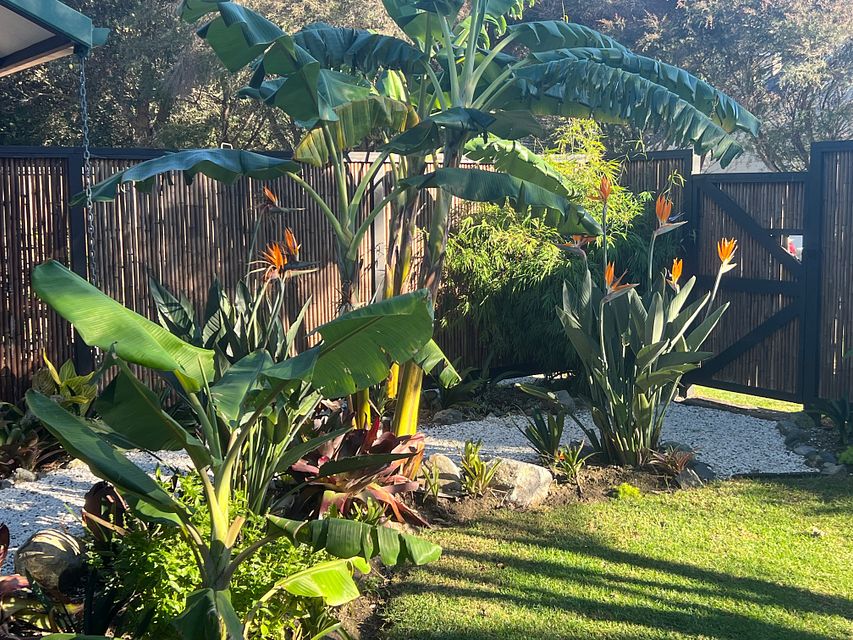 House for rent Waihi Beach 78 Bowentown Boulevard, Bowentown myRent