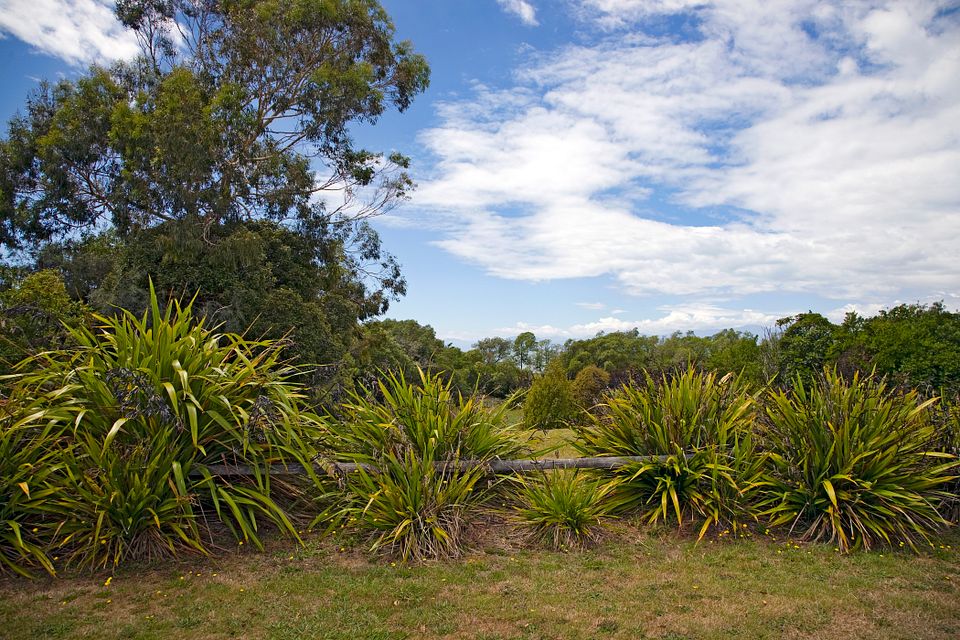 House for rent Upper Moutere 6 Cliff Road, Tasman myRent.co.nz