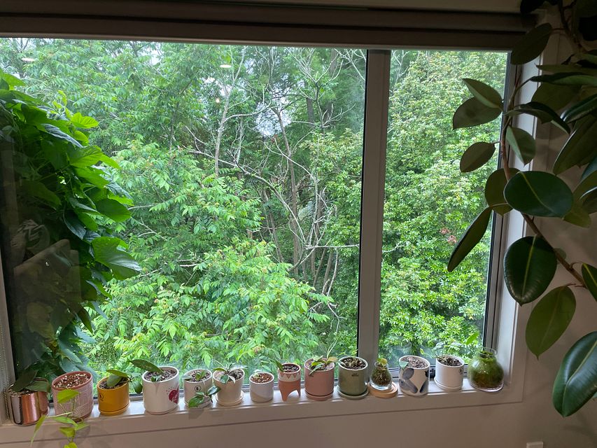 House for rent Hamilton 9A Stewart Place, Melville myRent.co.nz