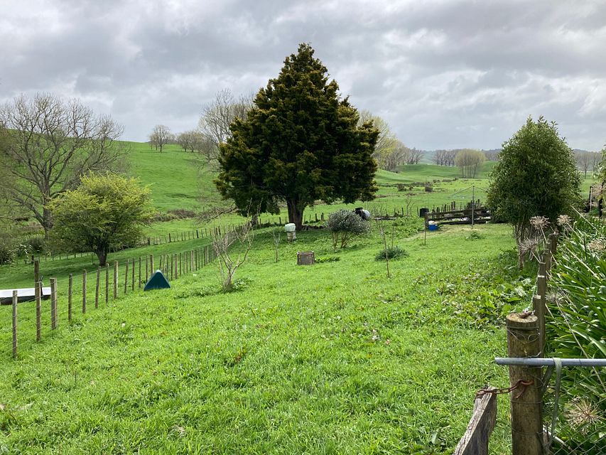 House for rent Te Kuiti 103 Whataroa Road, Te Kuiti myRent.co.nz