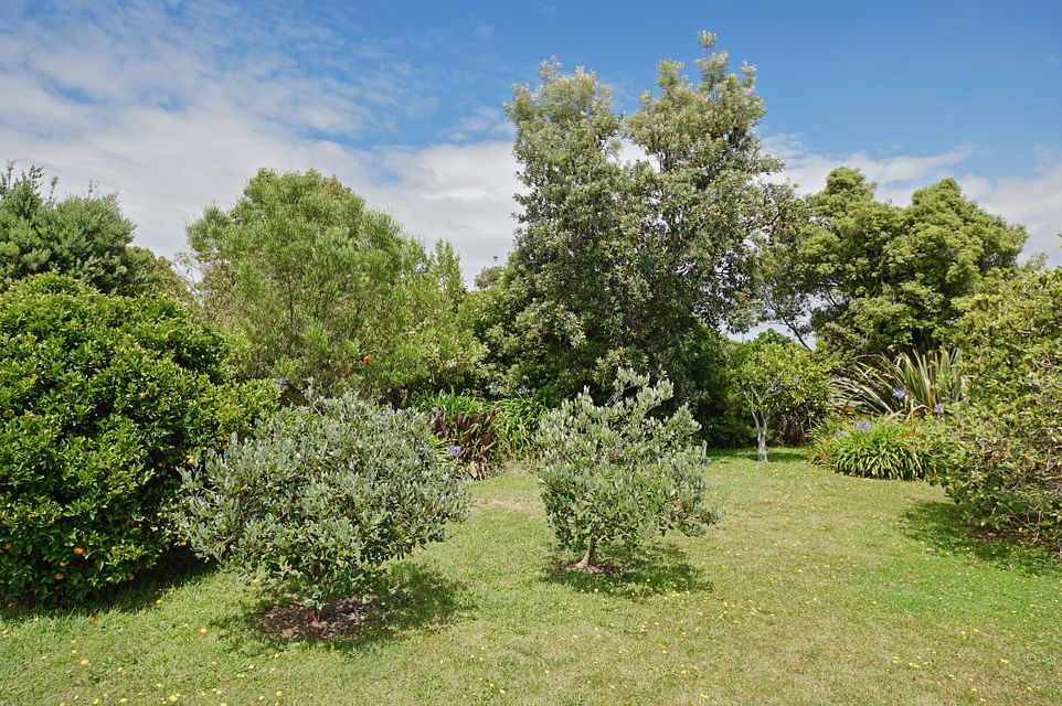 House for rent Upper Moutere 6 Cliff Road, Tasman myRent.co.nz