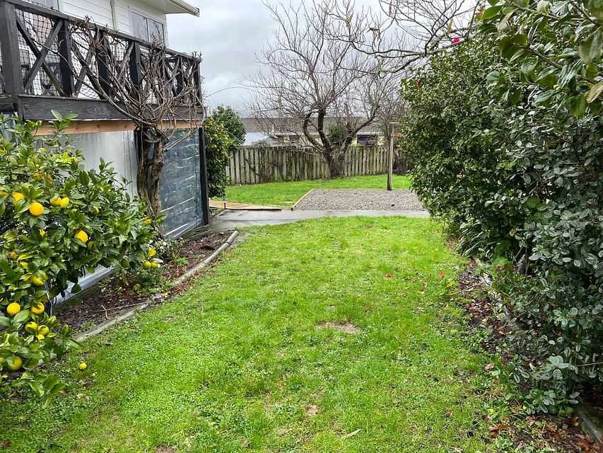 House for rent Masterton 6 Ngaio Place, Lansdowne myRent.co.nz