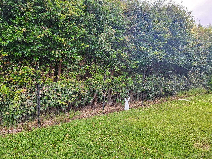 House for rent Orewa 3A Doment Crescent, Orewa myRent.co.nz