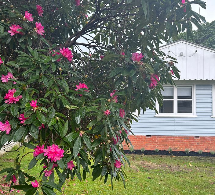 House for rent Auckland 28 Chelmsford Avenue, Glendowie myRent.co.nz