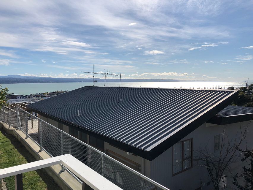 Flat for rent Napier 3/31 Goldsmith Road, Hospital Hill myRent.co.nz