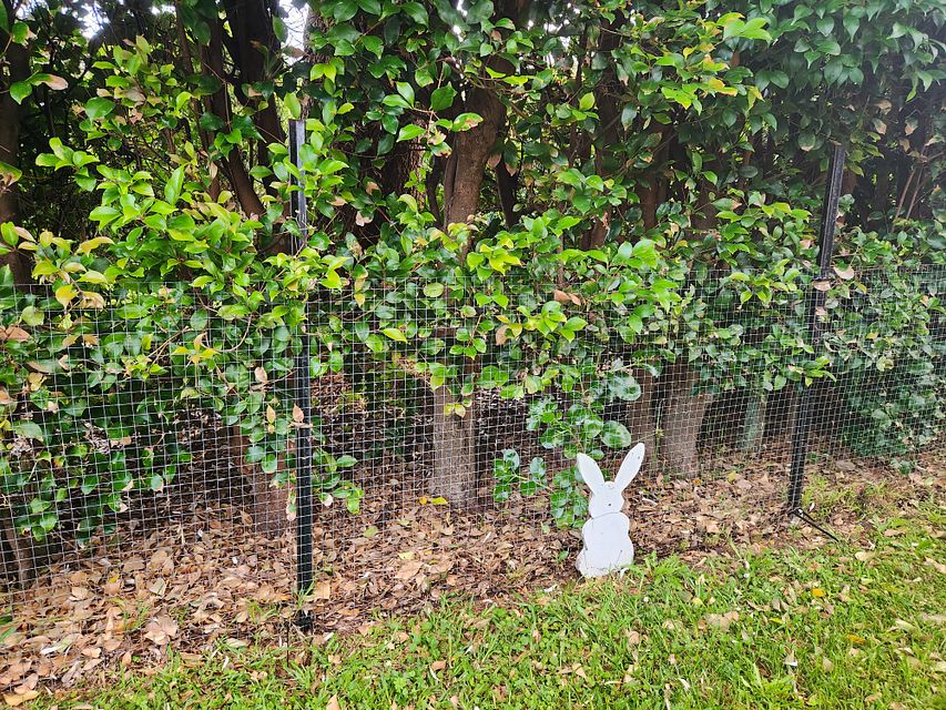 House for rent Orewa 3A Doment Crescent, Orewa myRent.co.nz