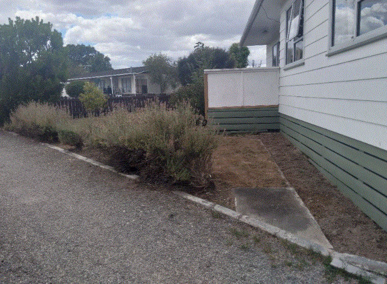 House for rent Masterton 53 Montgomery Crescent, Lansdowne myRent.co.nz