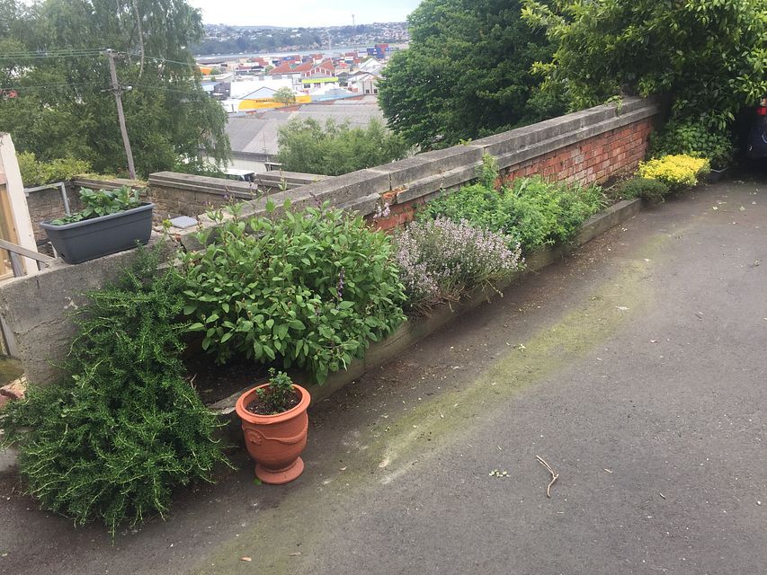 Apartment for rent Dunedin 3/53 Manor Place, Dunedin Central myRent