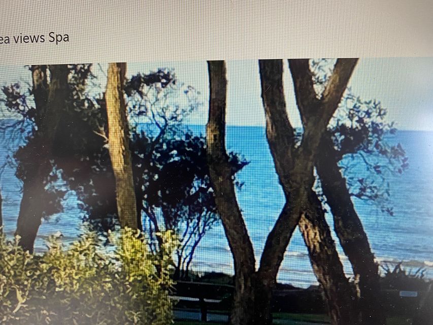 Townhouse for rent Orewa 455 Hibiscus Coast Highway, Orewa myRent.co.nz