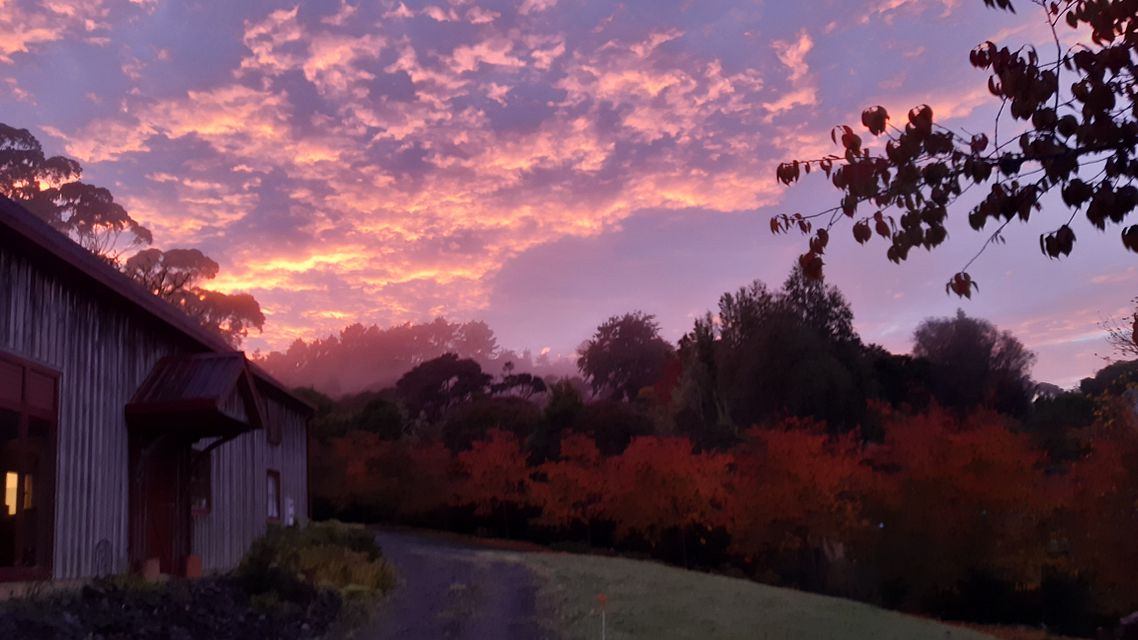 House for rent Auckland 48A Attwood Road, Paremoremo myRent.co.nz