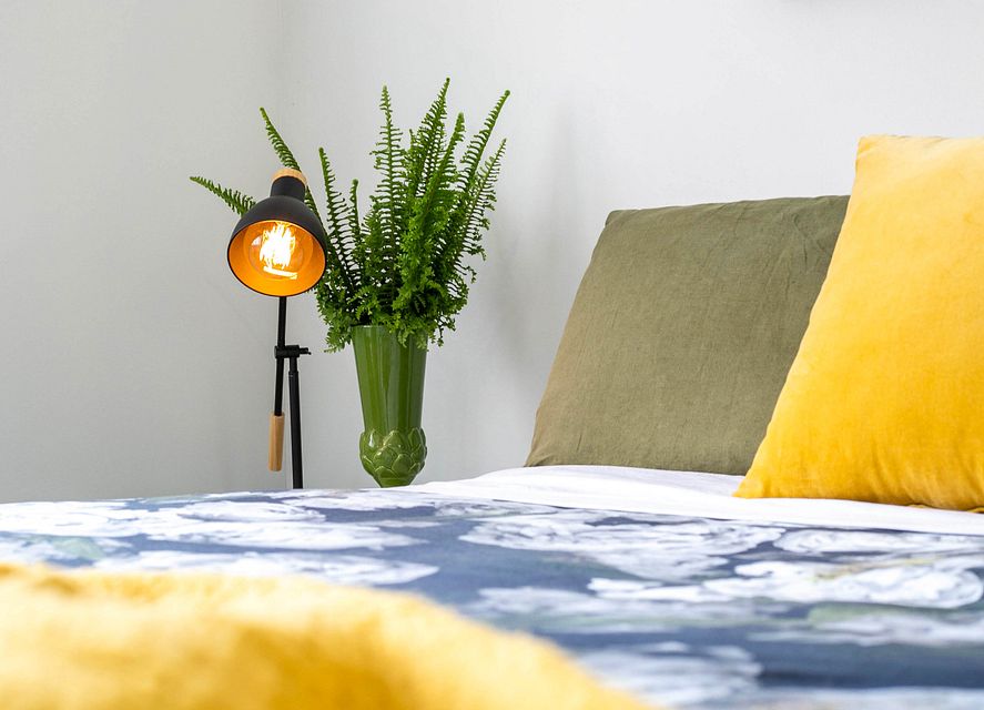 House for rent Cambridge 56 Hamilton Road, Cambridge myRent.co.nz