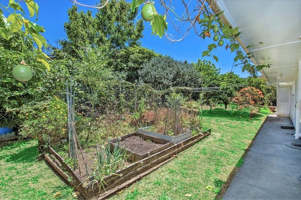 House for rent Whangarei 43 Mains Avenue, Kensington myRent.co.nz