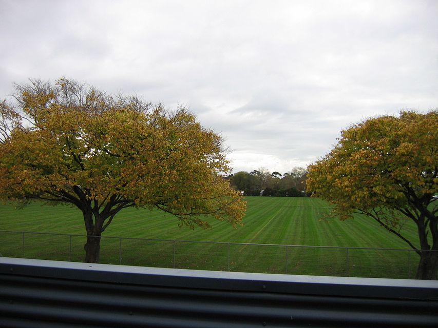 Apartment for rent Palmerston North 6/16 Freyberg Street, Roslyn myRent.co.nz